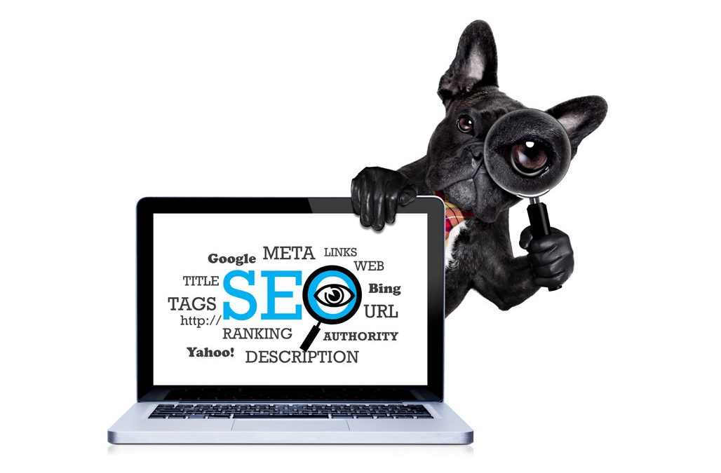 Why Every Pet Grooming Business Needs SEO