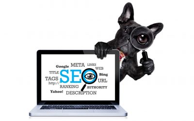 Why Every Pet Grooming Business Needs SEO