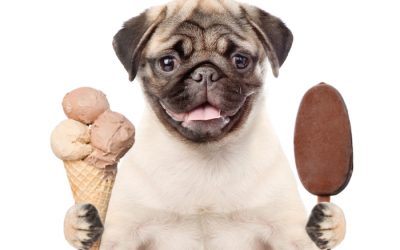 Foods that your Dogs and Cats Can’t Eat