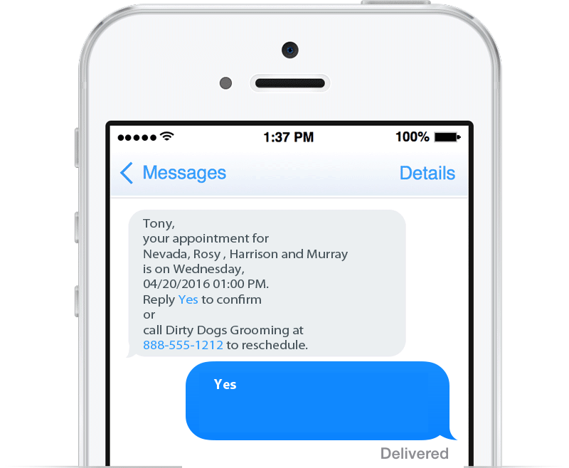 Text Message Appointment Reminder on iPhone