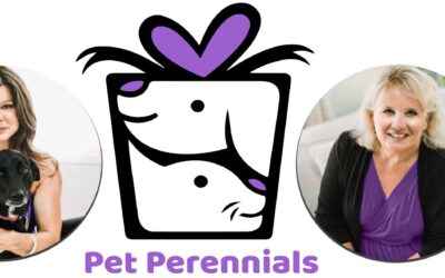 An interview with Pet Perennials